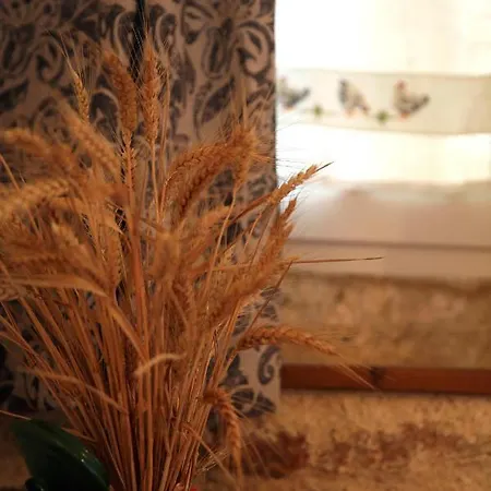 Casa de Férias D'en Lebe